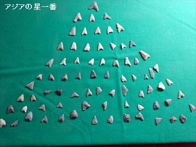 20150505 足摺岬　四万十川15