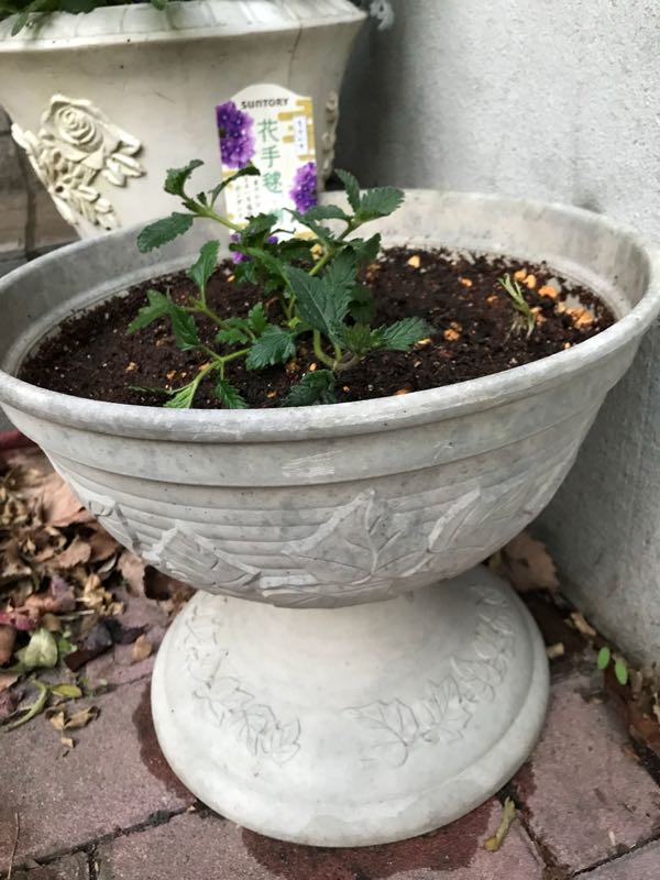 rblog-20180328191417-07.jpg