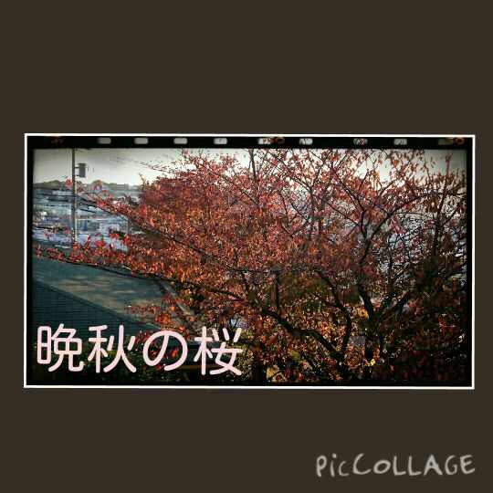 rblog-20141119180844-02.jpg