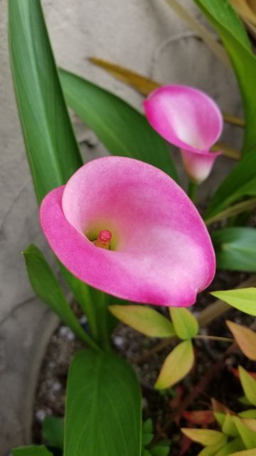 rblog-20180605094919-06.jpg