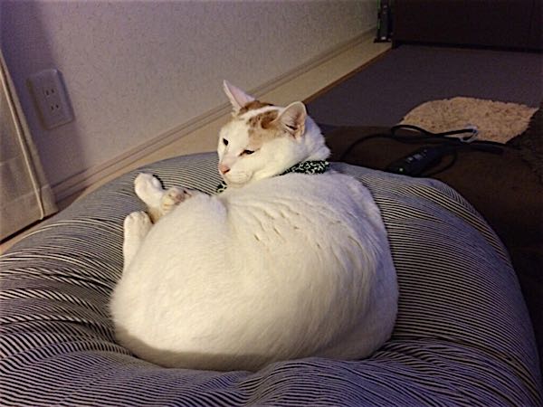 rblog-20141103061907-00.jpg