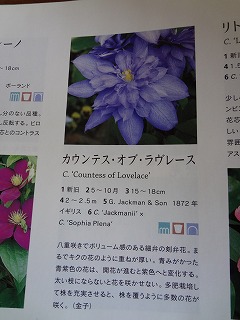 DSC01259.jpg