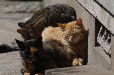 IMGP5882.jpg