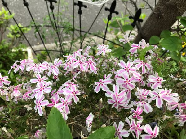 rblog-20190423182540-02.jpg