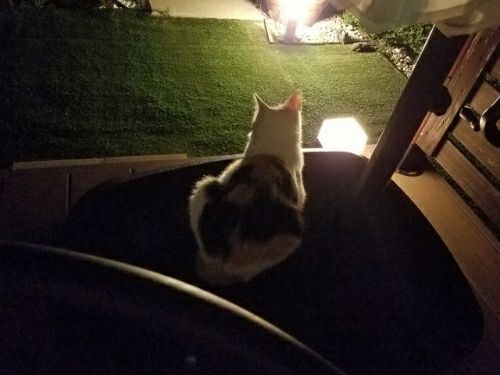 rblog-20180829102804-01.jpg
