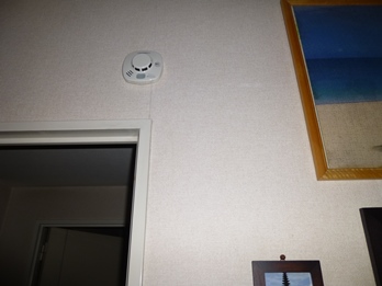 P1060964.JPG