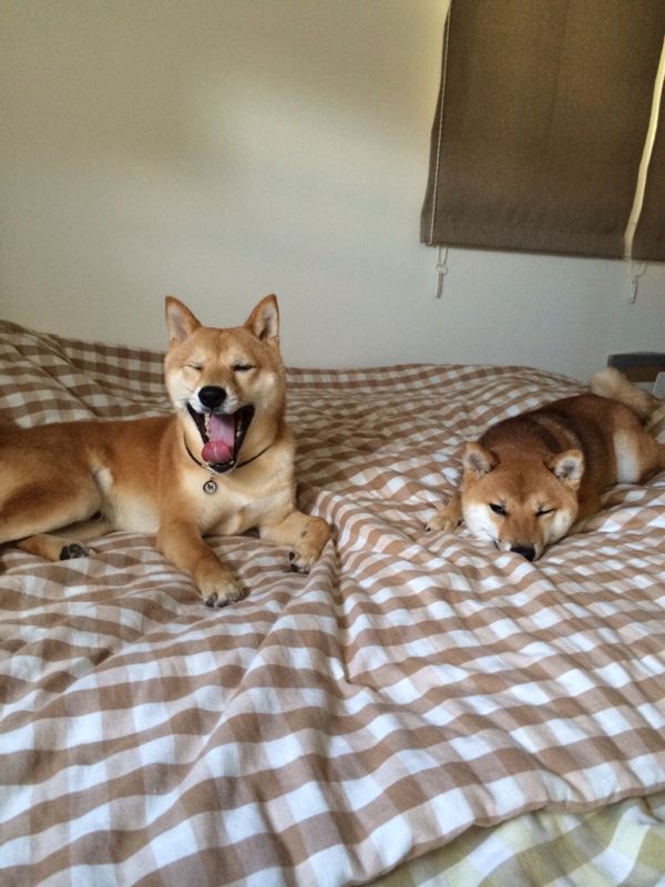 rblog-20150716202126-04.jpg