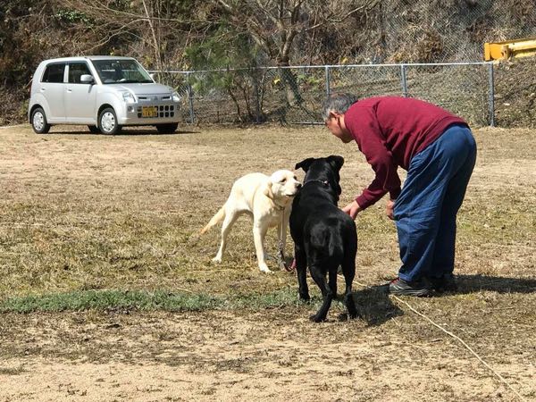 rblog-20180401215051-02.jpg