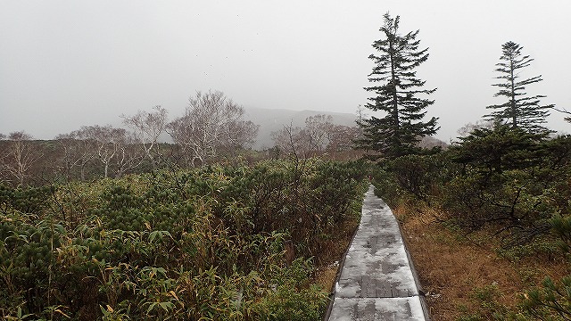 PA221596　13：22歩いた方角は消えた.jpg
