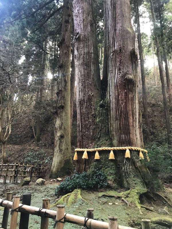 rblog-20190103235309-01.jpg