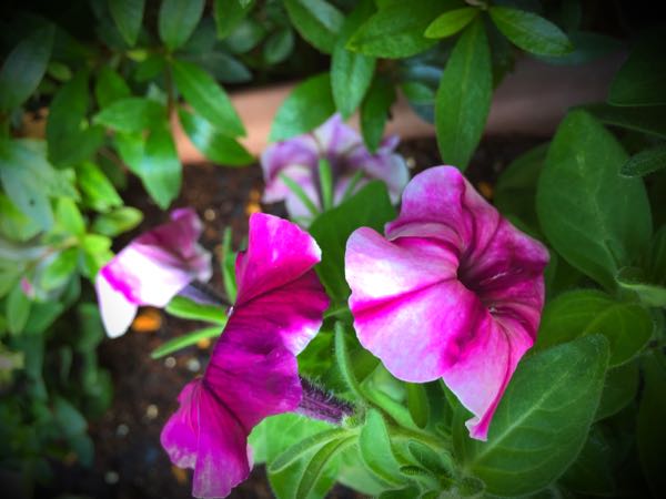 rblog-20150531144709-00.jpg