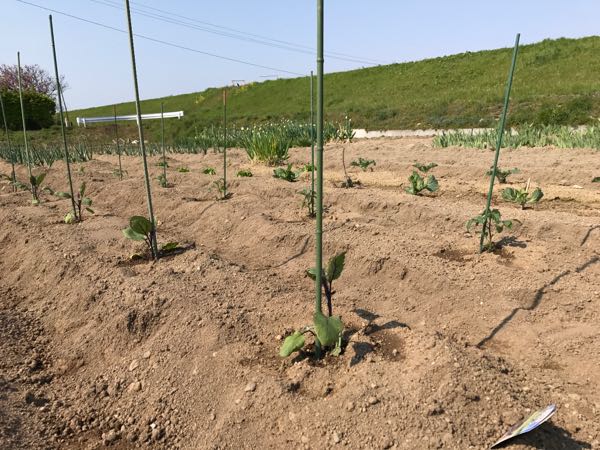 rblog-20170506214432-02.jpg