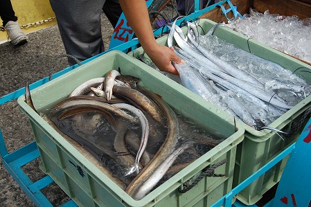 s-DSC_0408.jpg