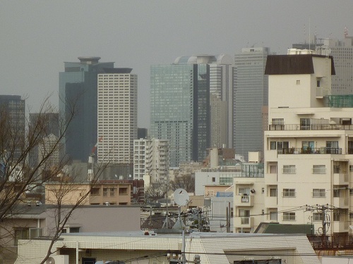 P1040896-2.jpg