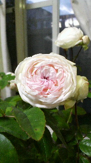 2013111518160000.jpg