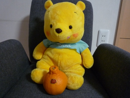 P1030579 (450x338).jpg