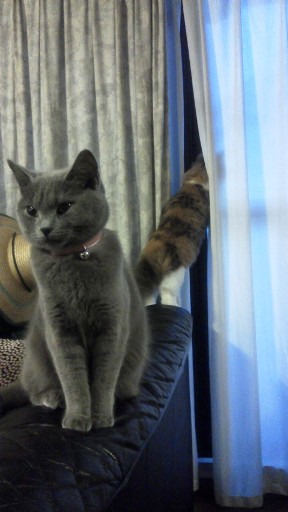 20131211165211.jpg