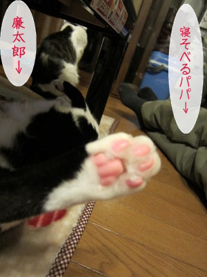 20121217100159_w_300_h_400_5931455.jpg