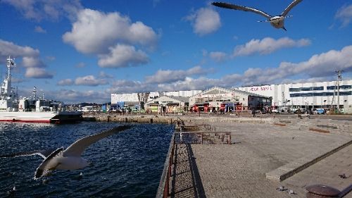 rblog-20171230215012-05.jpg