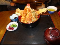 Dsc04177.jpg
