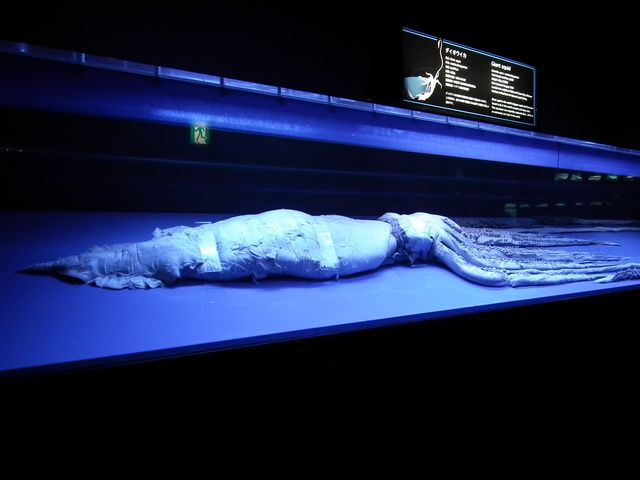 DSCF9256.JPG