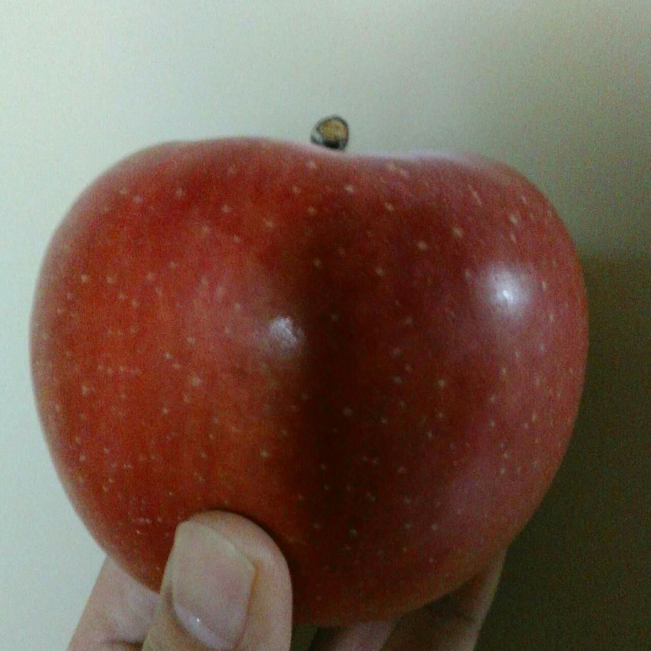 リンゴ 1 個 の カロリー は