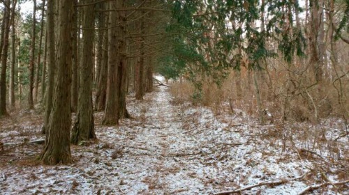 s-20140207硯上山登山口進む.jpg