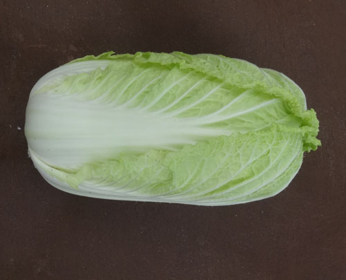 白菜２.jpg
