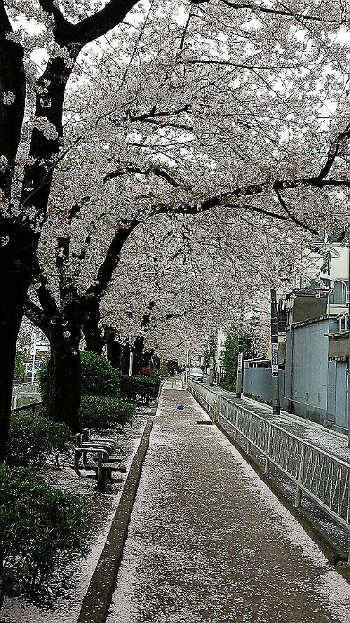 rblog-20150403164326-01.jpg