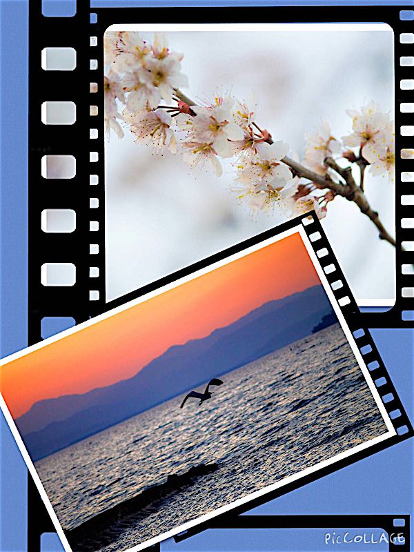 rblog-20150329025715-00.jpg