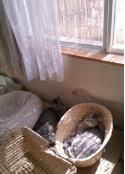 20120629_4.jpg