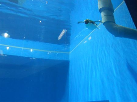 越前松島水族館