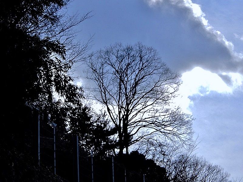 空4
