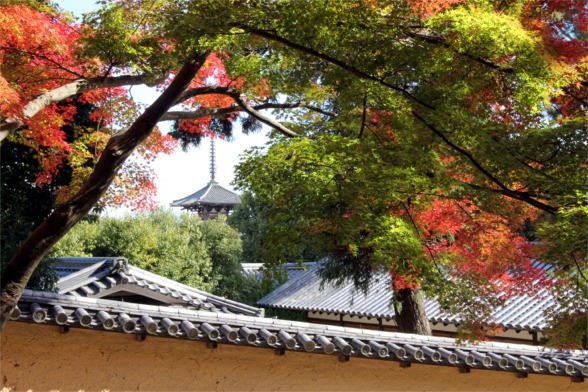 IMG_2755秋色の法隆寺.jpg