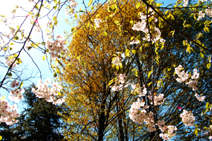 webDSC_8479.jpg