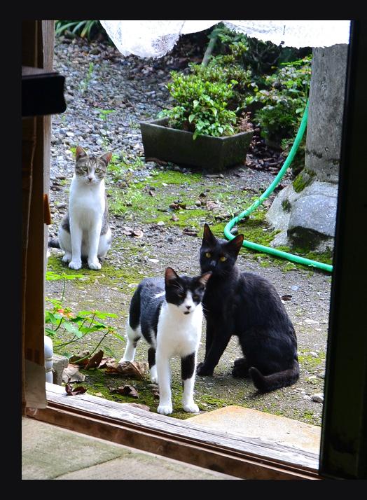 DSC_0294.JPG