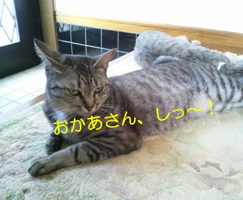20120828_4.jpg