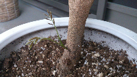rblog-20130821151413-03.png
