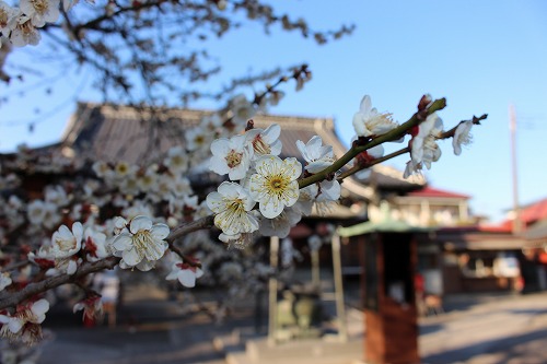 20150210大聖寺０１