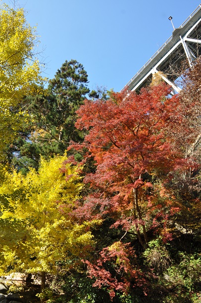 荒川キャンプ場