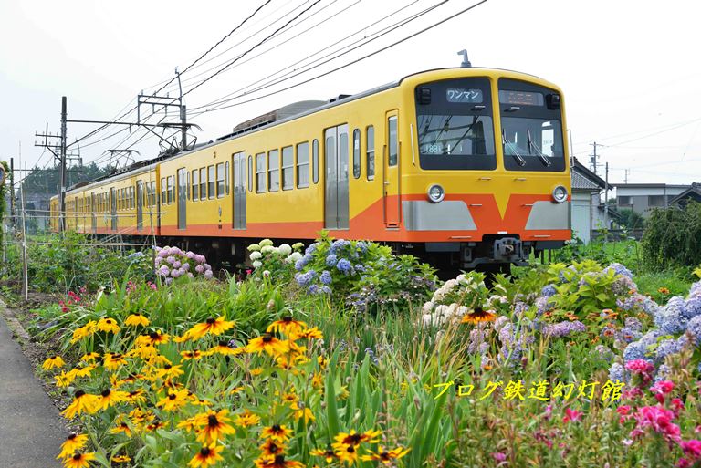 夏花の三岐鉄道