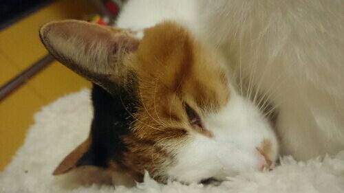 rblog-20170110134740-02.jpg