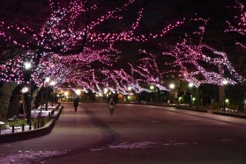 rblog-20180126232250-05.jpg