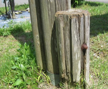 IMG_9658縮小 - コピー.jpg