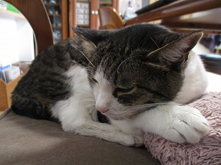 IMG_6613ss.jpg
