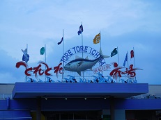DSCN1969.JPG