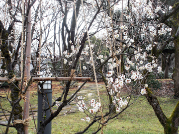 DSCN5458.jpg