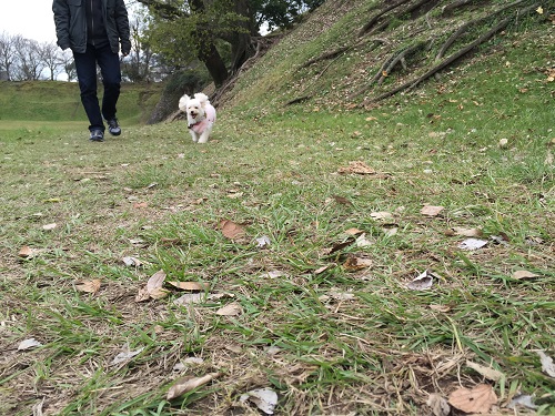 20151223_01.jpg