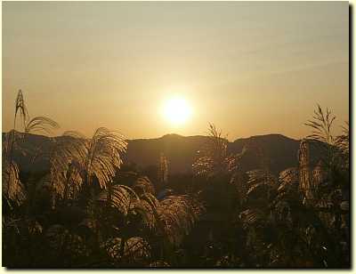 オトマノ ペッ 因業で行こう 楽天ブログ