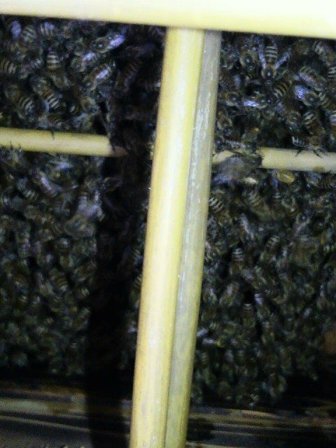 2013041920210001.jpg